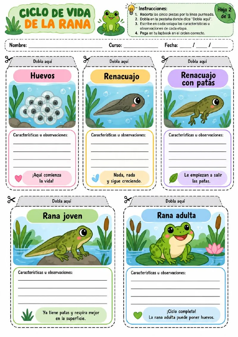Plantilla de Lapbook 68