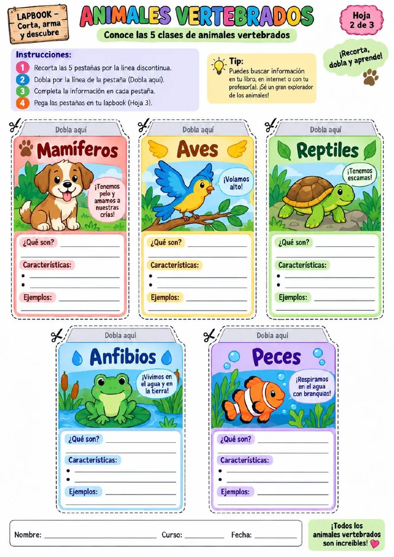 Plantilla de Lapbook 29