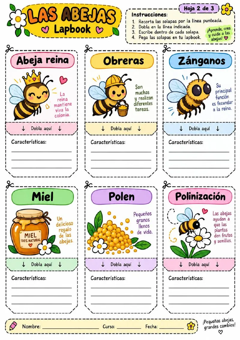 Plantilla de Lapbook 65