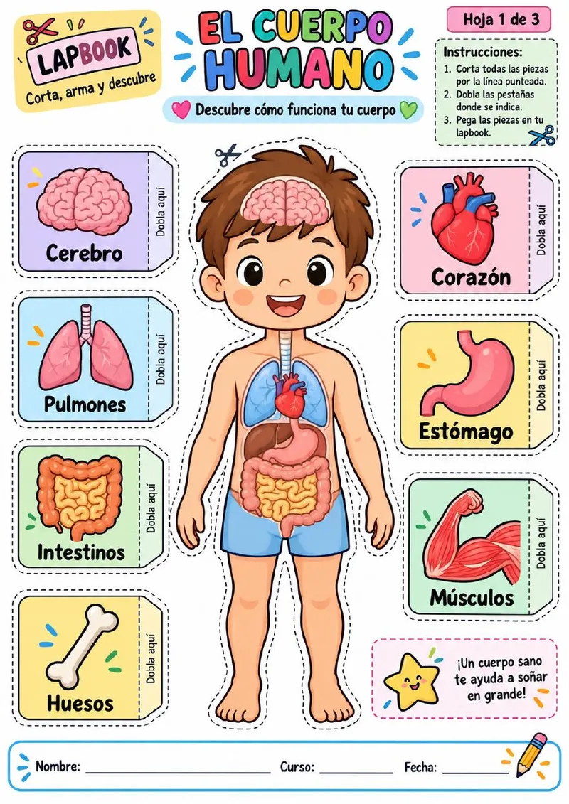 Plantilla de Lapbook 4