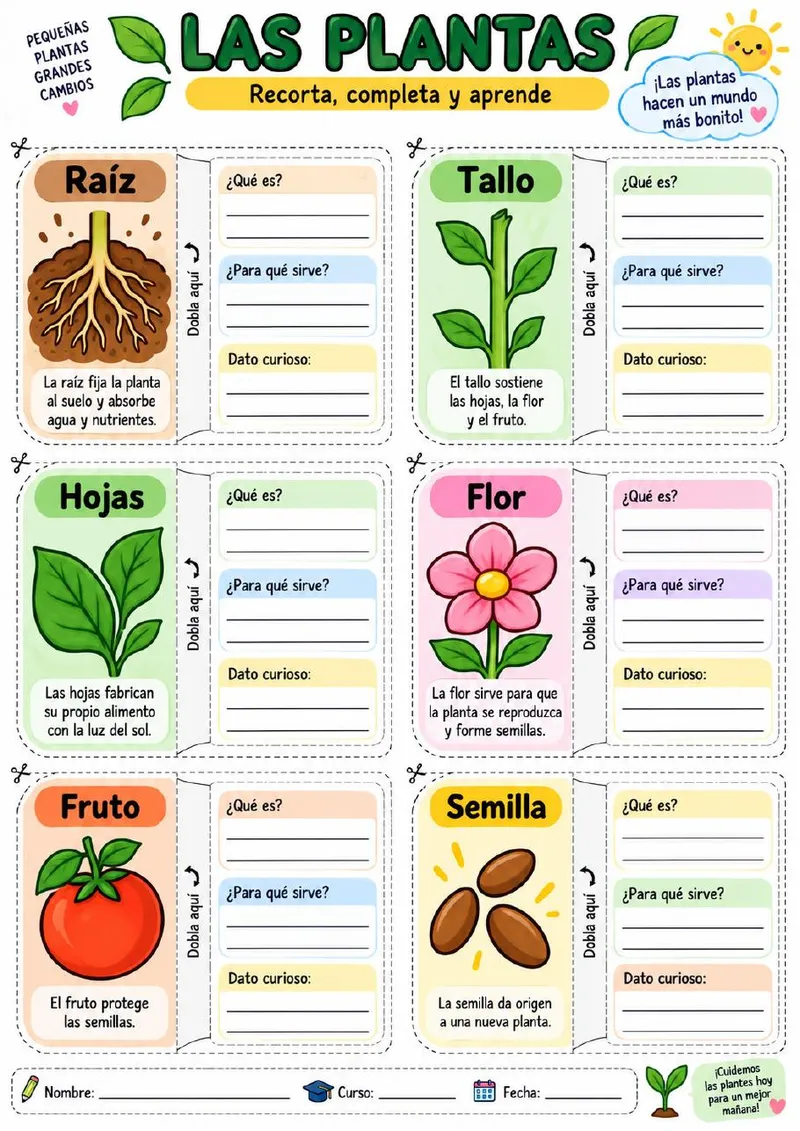 Plantilla de Lapbook 26