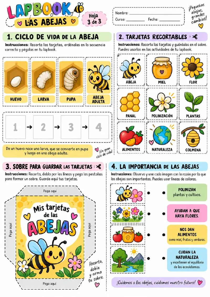 Plantilla de Lapbook 66